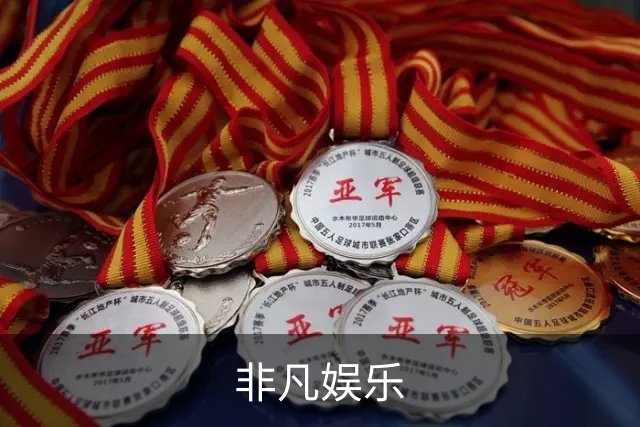 非凡娱乐公司介绍图